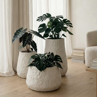 Pots et jardinières de jardin, Maceteros Grande, Pots à fleurs de luxe, Pots pour plantes, Pots pour arbres