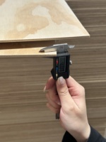 Contreplaqué de pin radiata multicouche de première qualité, haute densité, E0, écologique, pour meubles/armoires/construction, personnalisable