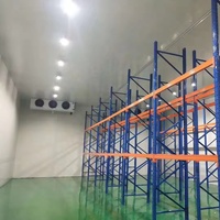 Promenade industrielle dans le réfrigérateur-congélateur grande chambre froide de stockage