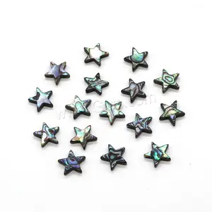 bulk wholesale DIY Star Abalone Shell jewelry Beads different size for choice 1611912
