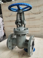 Vanne à guillotine à bride à coin en acier au carbone WCB, haute pression, durable, DN250 PN16 PN25 PN40, norme russe avec marquage EAC