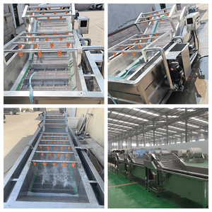 Machine à laver à bulles compacte, portable, automatique, commerciale et industrielle pour fruits et légumes - Product Image 4