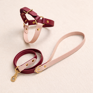 Harnais pour chien en PVC grainé effet cuir <span class=keywords><strong>de</strong></span> qualité supérieure, anti-transpiration, imperméable, nettoyage rapide, anneau en D robuste, OEM/ODM - Product Image 1