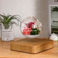 Lampe à lévitation magnétique HCNT, rose éternelle, ampoule romantique, fleurs préservées, lampe à plantes, cadeau de Noël, décoration d'intérieur