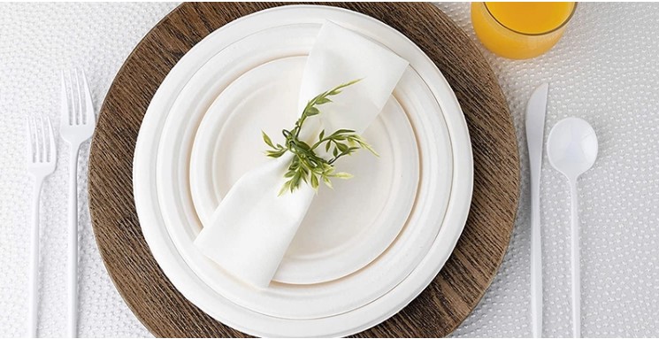 100% Compostable 9 Inches Natural, Biodegradable Food Plate For Food And Vegetables