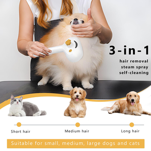Hot Sale Charge Eco-Friendly ABS Luxury 3-in-1 Steamy <b>Pet</b> Spray Anti-Static Effective Hair Removal Grooming <b>Brush</b> for Cats - Product Image 2