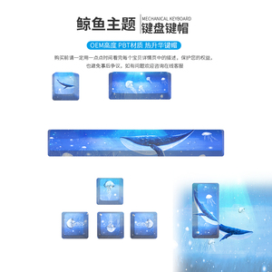 AFLION ABS คีย์แคปภาษาเยอรมัน รัสเซีย ฝรั่งเศส สเปน เกาหลี <span class=keywords><strong>ไทย</strong></span> สำหรับคีย์บอร์ดแบบกลไก ใช้งานร่วมกับรูปแบบมาตรฐาน 87/104 - Product Image 6