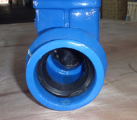 Vanne à opercule double en fonte GGG50 avec volant ou capuchon de tige pour tube PVC DN300 315mm PN10 PN16 Fabriqué en Chine