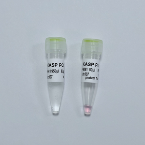 KASP PCR MixPlus - Master Mix 2X per Genotipaggio SNP |   GDSBio - Product Image 1