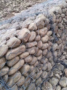 Factory Galvanized Woven 8x10cm <strong>Hexagonal</strong> <strong>Mesh</strong> Gabion for Retaining Wall - Product Image 2