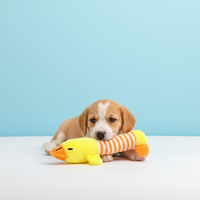 Langdurig duurzaam zacht fleece speelgoed, draagbaar formaat, woonkamer speelgoed, nieuw design, schattig knuffeldier konijn pop, superzacht