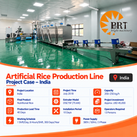 Ligne de production de riz fortifié FRK, extrudeuse à double vis, machine de fabrication de riz nutritionnel