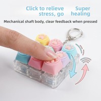 Porte-clés anti-stress en silicone en forme de patte de chat, jouet sensoriel, testeur de commutateur de clavier mécanique 1/2/3/6/9 touches, unisexe