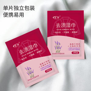 Lingettes nettoyantes pour doudounes Suxiang, 10 pièces, détachant pour vêtements, portable, sans lavage - Product Image 2