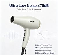 Sèche-cheveux ionique professionnel 2600W pour usage domestique et en salon, moteur AC puissant et silencieux pour applications en extérieur et hôtelières