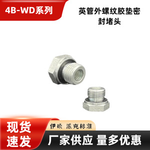 ปลั๊กท่อหกเหลี่ยมซีรีส์ 4B-WD พร้อมปะเก็นยางเกลียว G ซีลกรวย 60 องศา ข้อต่อไฮดรอลิกโลหะ ขนาด 9.74-45.3 มม. - Product Image 5