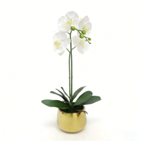 Anggrek Phalaenopsis Buatan Putih dengan Akar dalam Pot Keramik Emas dengan Tanah Buatan Bunga Palsu untuk Dekorasi Ruang Tamu.