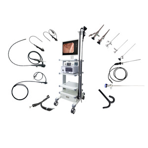 Sistema de Endoscopia Veterinaria para Examen y Tratamiento de Nariz, Oído, Tráquea, Vejiga Urinaria y Riñón, Enchufe Eléctrico, Certificado CE - Product Image 1
