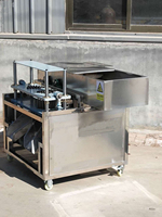 Kersenzaad Automatische Olijf Pitting Dadels Kersenkern Verwijderen Fruit Putmachine