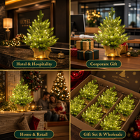 Mini Árbol de Navidad de PE de 48 cm con Luces LED Blanco Cálido, 8 Modos, USB, Tamaño y Color Personalizables, Base con Caja de Regalo, para Hoteles, Empresas, OEM, Venta al por Mayor, CE