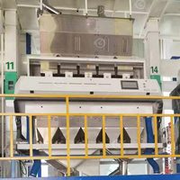 Industriële Graad 13 Chute Mini Tarwe Erwten Lijn Fruit Rijst Tarwe Graan Kleur Sorteermachine Kleur Sorteermachine