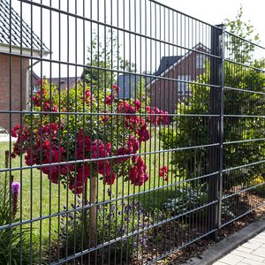 Allemagne Double Rod Mat Pvc Coated Double Clôture Twin Double Wire Fence <span class=keywords><strong>Prix</strong></span> d'usine - Product Image 4
