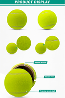 Lanceur de balles de tennis intelligent, contrôle par application, alimentation multi-angles, machine d'entraînement portable pour tous les niveaux