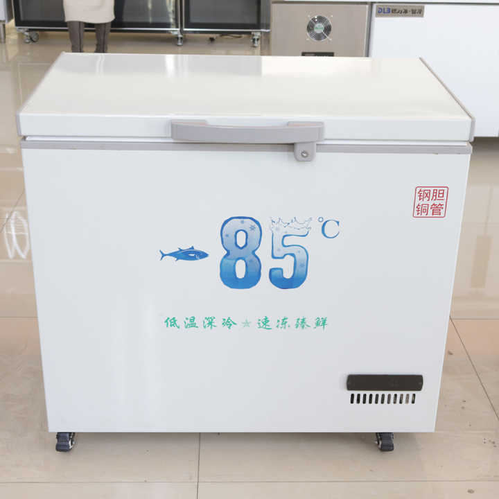 Yilin -85℃ Deep Freezer 718L with 2 Doors for Home & Commercial
