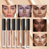 Correcteur Liquide Minéral Longue Tenue Haute Définition Imperméable Résistant à la Transpiration en Promotion à Bas Prix pour Marques d'Acné Cernes Maquillage