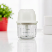 Presse-ail électrique en verre avec 6 lames en acier inoxydable, coupe-aliments et hachoir à légumes portable facile à utiliser