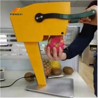 Extracteur de Jus Électrique FXR pour Fruits Frais, Pastèque, Ananas, Orange – Machine à Jus Automatique