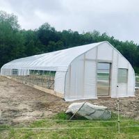 Goedkope enkelspannings tunnelkas met warmgegalvaniseerd stalen frame en stabiele constructie voor tomaten- en groenteteelt