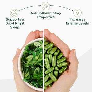 Suplemen Biocaro OEM Organik, Bubuk Daun Kelor Organik Sesuai Pesanan, Kapsul Kelor Grosir - Product Image 4