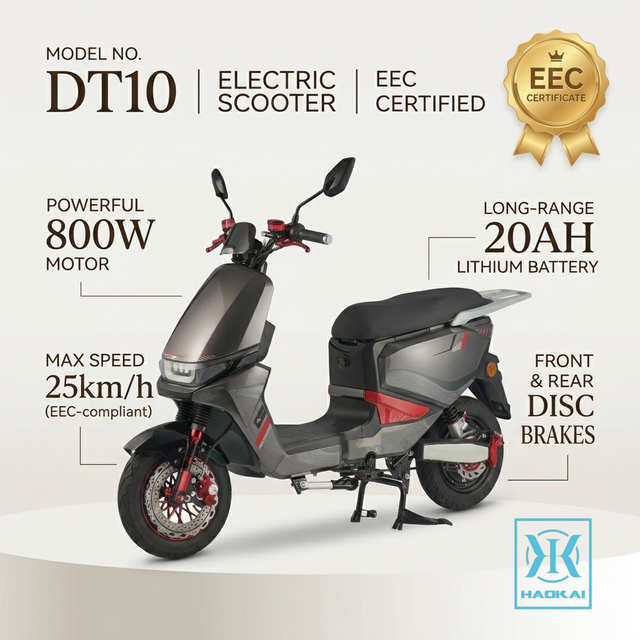 Street Legal 25km/h Electric Bike 800W Motor Power 48V Lithium Battery City Commuter E-Scooter 50km Electric Moped with EEC