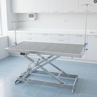 Table chirurgicale vétérinaire électrique mini et grande, en acier inoxydable, hauteur réglable, filtre détachable, commande manuelle, pour clinique vétérinaire