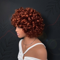 Perruques 100% Cheveux Naturels Vierges 12A avec Cuticules Alignées pour Femmes Noires, Fournitures de Cheveux Brésiliens, Perruques Courtes à Dentelle Frontale, Cheveux Indiens Brésiliens