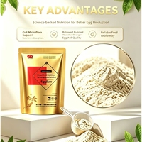 EggSure Complément Nutritionnel pour Poules Pondeuses Riche en Multivitamines Favorise la Production d'Œufs et la Fonction Intestinale