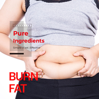 Capsules brûle-graisses abdominales à base d'extrait de Garcinia Cambogia, formule scientifique OEM/ODM, favorisent le métabolisme et soutiennent les niveaux d'énergie