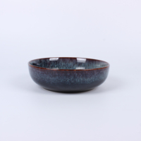 Service de table en céramique réactive de 16 pièces : assiettes et bols en porcelaine