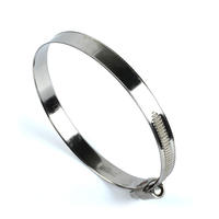 Collier de serrage pour tuyau en acier inoxydable résistant à la corrosion DIN 3017, collier de serrage réglable pour tuyau