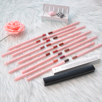 Kit Lèvres Maquillage Végane Marque Blanche, Kit Complet Rouge à Lèvres et Gloss avec Crayon Nude