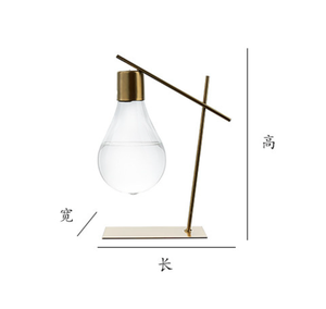 Creativo scaffale <span class=keywords><strong>in</strong></span> metallo vaso idroponico pianta trasparente desktop appeso <span class=keywords><strong>plastica</strong></span> fioriera vaso lampadina - Product Image 3