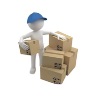 Figurines d'anime expédiées par avion express Chine-Australie, agent de dropshipping, Top 10 des transitaires, emballage personnalisé professionnel