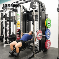 Entraîneur fonctionnel complet Flybird en acier inoxydable COREDELUXE