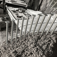 Clous de toiture en acier inoxydable 304 pour la construction de maisons/composants de ponts