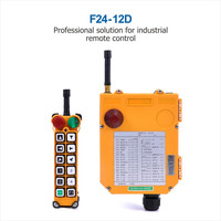 Télécommande Telecrane F24-12D TELECRANE