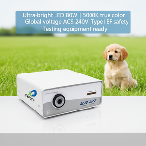EUR Vet แหล่งกำเนิดแ<span class=keywords><strong>ส</strong></span>งเย็น LED <span class=keywords><strong>ส</strong></span>ำหรับ<span class=keywords><strong>การ</strong></span><span class=keywords><strong>ส</strong></span>่องกล้องของสัตวแพทย์80W 4M Lux แผงสัมผั<span class=keywords><strong>ส</strong></span>ความ<span class=keywords><strong>ส</strong></span>ว่างอุปกรณ์ทดสอบ - Product Image 1
