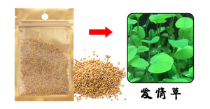 Simulatie Kunstmatige Zeebodem Simulatie Coral Landschap Fish Simulatie Van Coral Aquarium Coral - Product Image 4