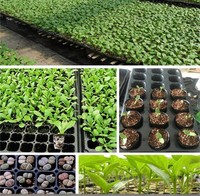 Vente chaude 50 72 98 105 128 200 288 Cellules Plug Graine Pépinière Plateau pour Ferme Jardin Serre Plante Fleurs
