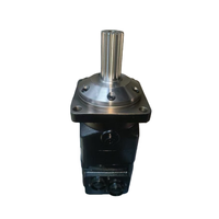 Moteurs hydrauliques OMT Série OMTS OMTS315 151B3039 OMT250 151B3020 OMTS200 151B3037 OMT400HD 11022237 Moteur orbital